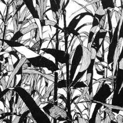 Illustration : EXPOSITION PRIMAVERA LIGNES FERTILES